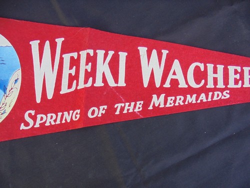 Vintage Spring of the Underwater Mermaids Red Pennant, Weeki Wachee, Florida - Picture 3 of 5