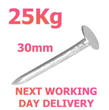 25Kg Clout Nails 30mm