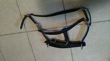 Halter leather black for Trakehner mint condition