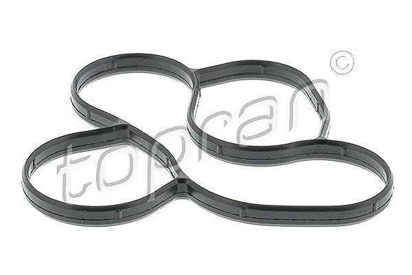 Topran Dichtung, Wasserpumpe U.A. FüR Audi, Cupra, Seat, Skoda, VW-image