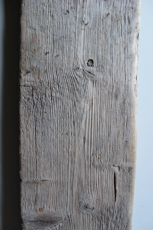 Treibholz Schwemmholz 1 MEGA Brett Garten Basteln,Deko Terrarien Regal Garderobe - Bild 4 von 4