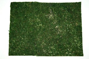 Moosmatte künstlich