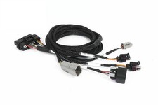 Haltech Nexus Universal Plug-in Io Expansion Harness - 8ft 2.5m For Automotive