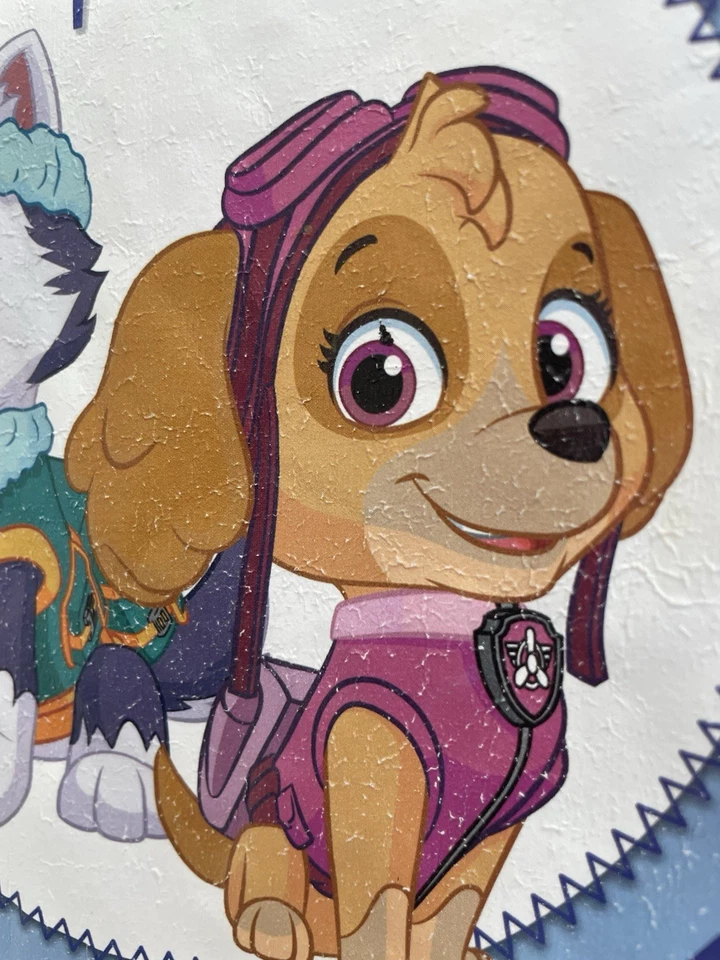 NIckelodeon Niños Niñas Paw Patrol Skye Everest Camisa Manga Larga Gris Jaspeado 6 Foto 4 de 4