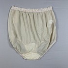 Dixie Belle Nylon Brief Panty Lace Waist Semi Sheer #1252 Size 9 New Vintage