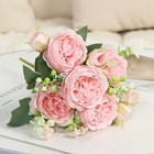 Foto 14 di 27