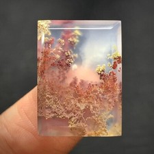 Scenic Moss Agate Cabochon 21x15x4.5mm High Quality 16.5 ct
