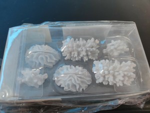 seven seas coral place card photo holder beach wedding set of 6 (a4) ebay seven seas coral place
