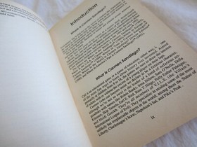 Ultimate Unofficial Carmen Sandiego Companion Strategy Guide NES Nintendo IBM PC