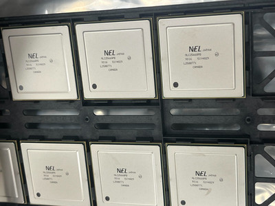 NETLOGIC NLC2566APB Integrated Circuit