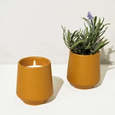 NEW Lavender Cedar 6oz Candle & Planter, 2-in-1 DIY Lavender Seeds to Flowers