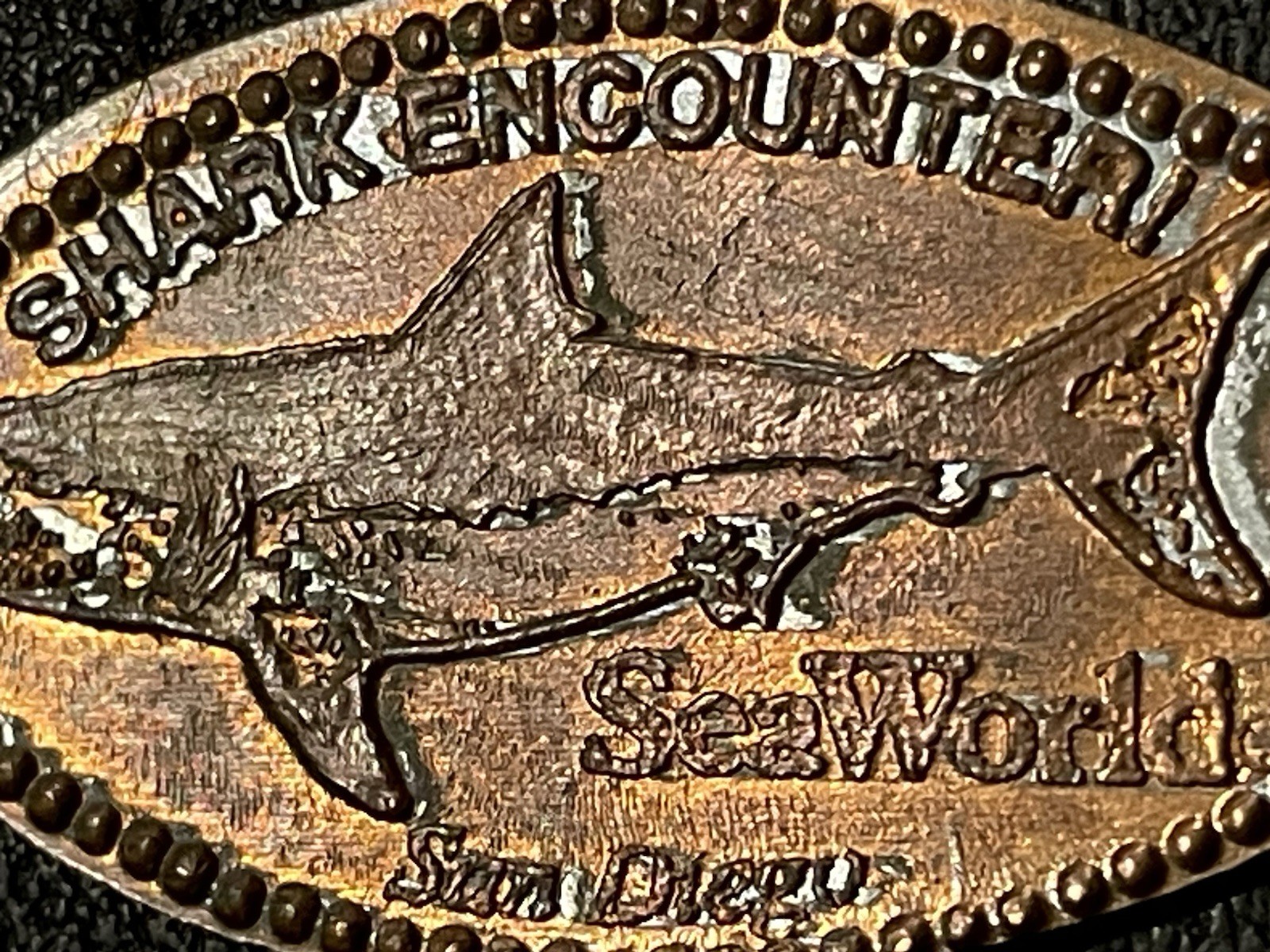 Shark Encounter Sea World San Diego Zc Elongated Penny #092017