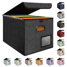 File Organizer Box with Lid, Collapsible File Folder Organizer with Plastic S...