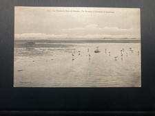 CPA ; La Chasse en Baie de Somme-Un Hutteau à Cerceaux et Appelants ; BE