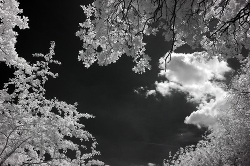 Filtry klipsowe z nadrukiem 3D do Canon EOS R10 bezlusterkowe. IR 590,650,720nm, cięcie UV/IR - Zdjęcie 11 z 13