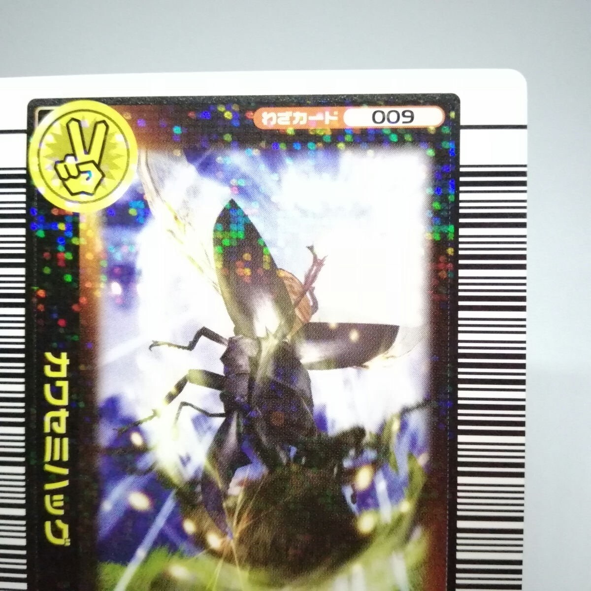 Bild 3 von 12