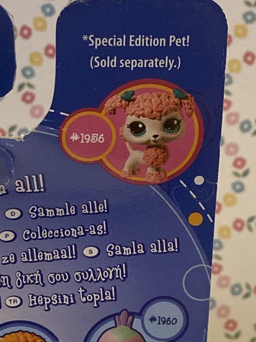 Authentic Littlest Pet Shop 1956 NIB Sealed Pink Euro Poodle Aqua Bows Error Box - Picture 3 of 3