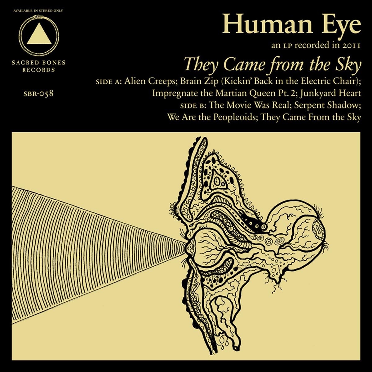 Human Eye They Came From The Sky (CD)
