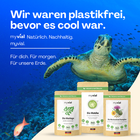 Bild 9 von 13