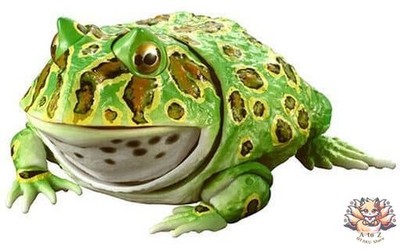 Bell's Horned Frog Green Creatures Encyclopedia Mini Figur