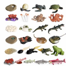 Educational Toy Realistic Animal Figurine Long-Lasting for Classroom