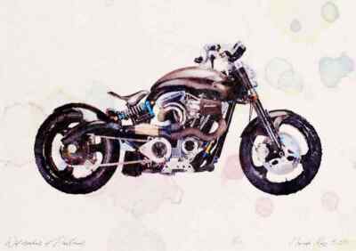 A4 Foto Konföderierte F113 Hellcat 2006 Aquarelldruck limitierte Auflage