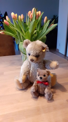 Zwei Steiffbären Steiff Bär 0228/33 und Steiff Bär 030147 - Bild 2 von 4