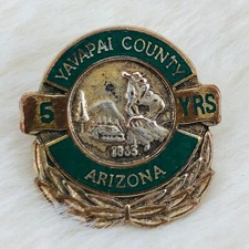 Vtg Yavapai County Arizona 5 Year Employee Service Award Lapel Pin