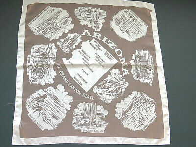 ARIZONA Souvenir Scarf Sheer Pink Grand Canyon Kachina Dancers St Map Vintage 