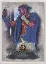 2015 Topps WWE Undisputed NXT Prospects Tyler Breeze #NXT12 03i4