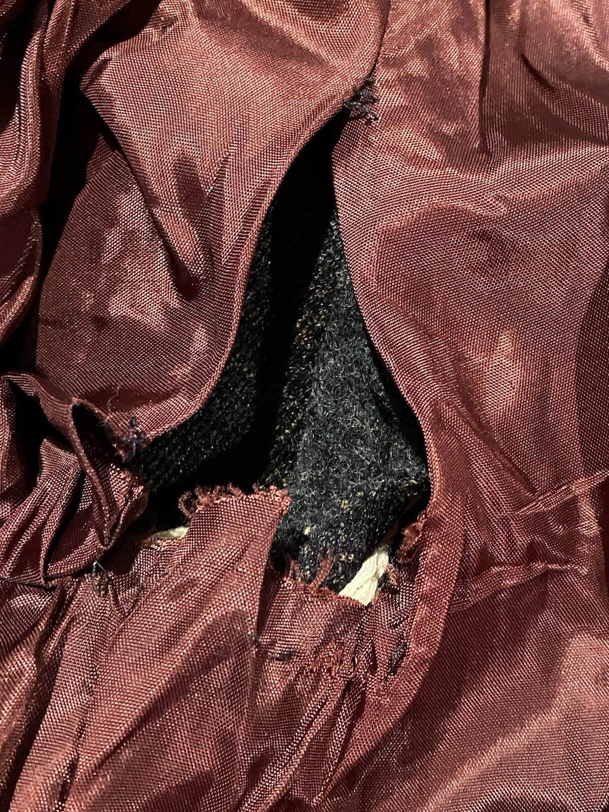 Picture 12 of 12