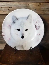 Winter White Fox, White Penguin,  Robert Stanley Home Collection 22F5 Collection