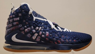 Nike Lebron XVII DT CD5056 400 Size 18