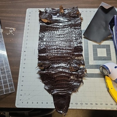 Caiman Skin Italian genuine crocodile leather, exotic leather 