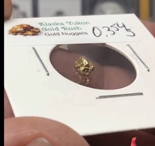 PURE GOLD NUGGET YUKON Gold NATURAL GENUINE RAW .36 Grams - Actual Item Pictured