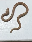 VINTAGE KENNER STAR WARS ESB 1980 YODA BROWN SNAKE 100% ORIGINAL. ACCESSORY