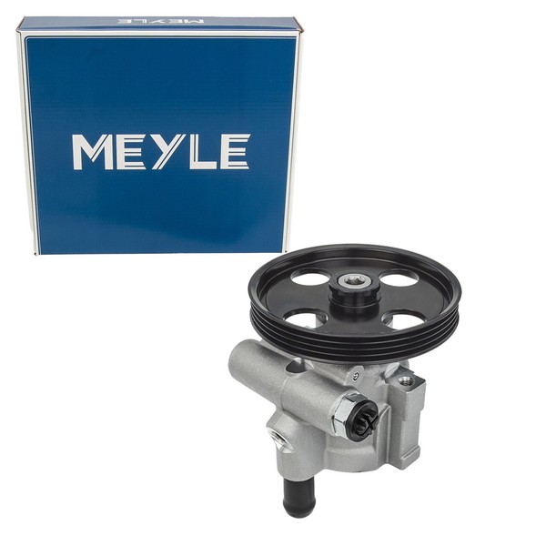 Meyle Hydraulikpumpe Lenkung FüR Renault Clio I II Kangoo Dacia Logan 1.2-2.0-image