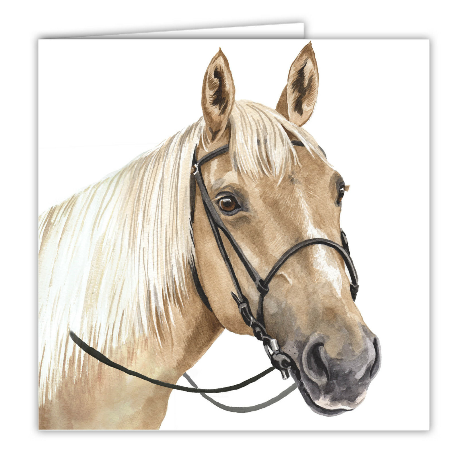 Palomino Horse greetings card HORSES blank card Palominos pony WaggyDogz ponies
