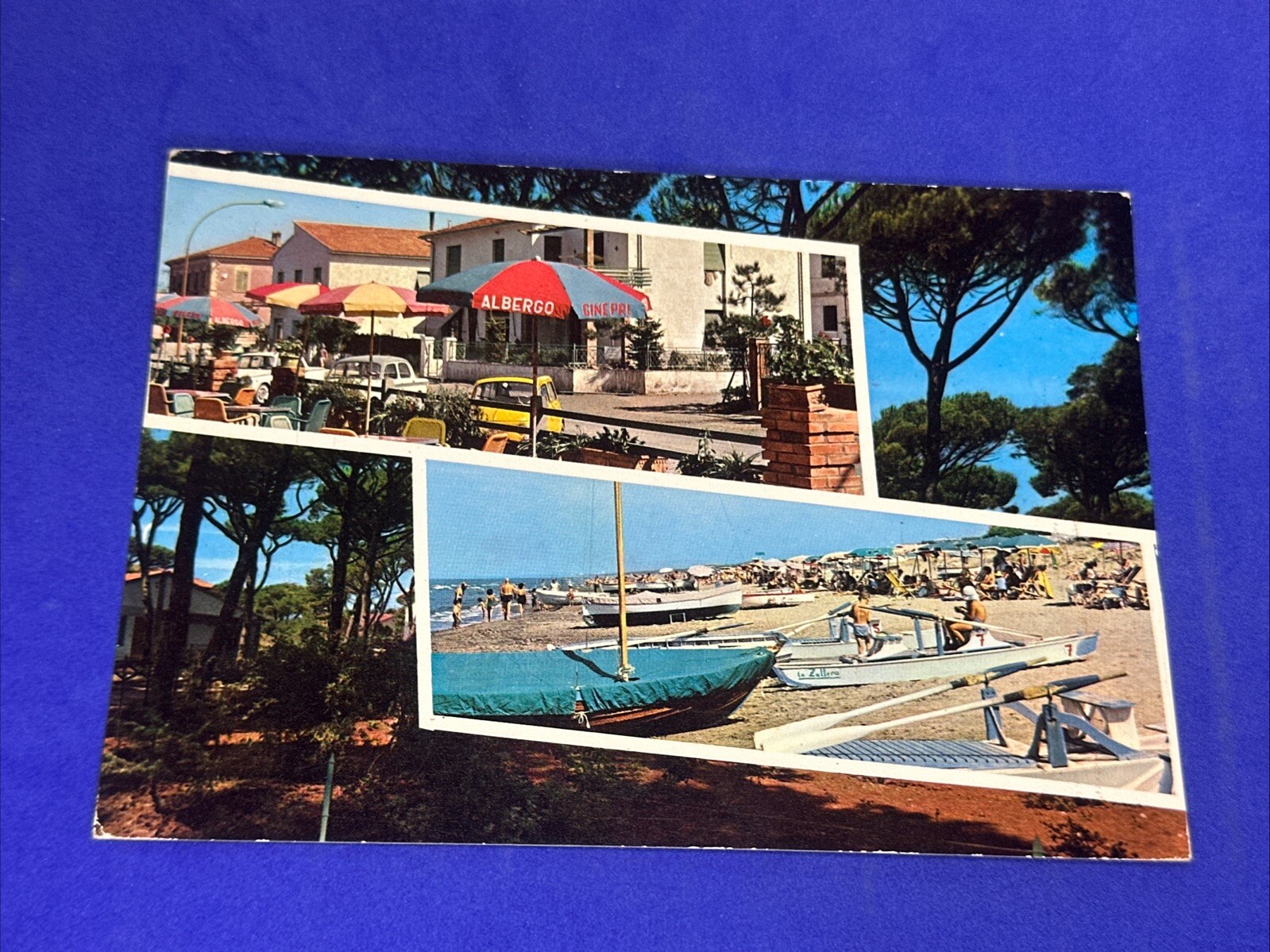 SALUTI DA MARINA DI CASTAGNETO DONORATICO Cartolina a Colori