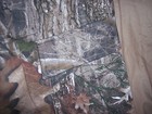 Bild 5 von 8
