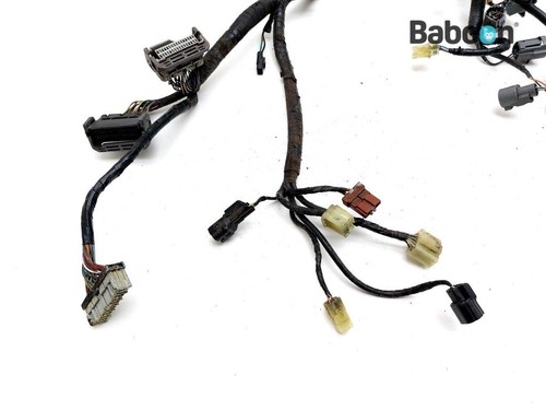 Wiring Harness (Main) Honda CBR 1000 RR Fireblade 2004-2005 (CBR1000RR SC57) - Picture 14 of 17