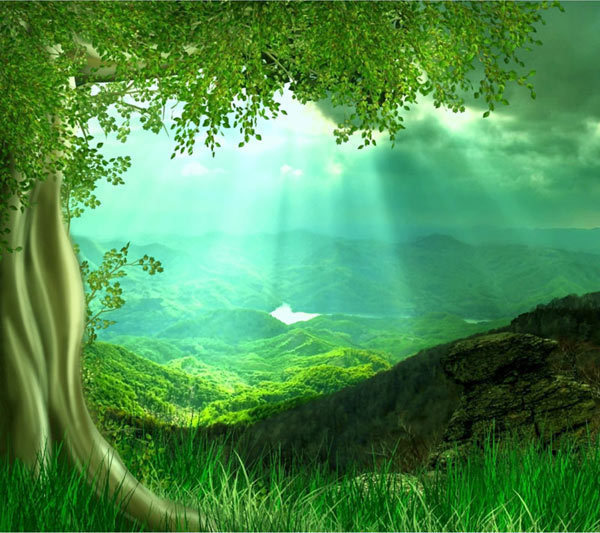 Verde Magic Light Field 3D Full Wall Mural Large Print Wallpaper Home Decal Deco Verde Magic Light Light Light Field 3D Full Wall Mural Large Print Wallpaper Home Decal Deco fa9e95