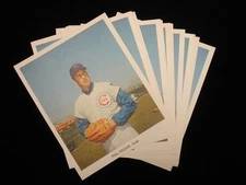 Group of 13 1970-71 Phil Regan Team Issued Chicago Cubs Photographs