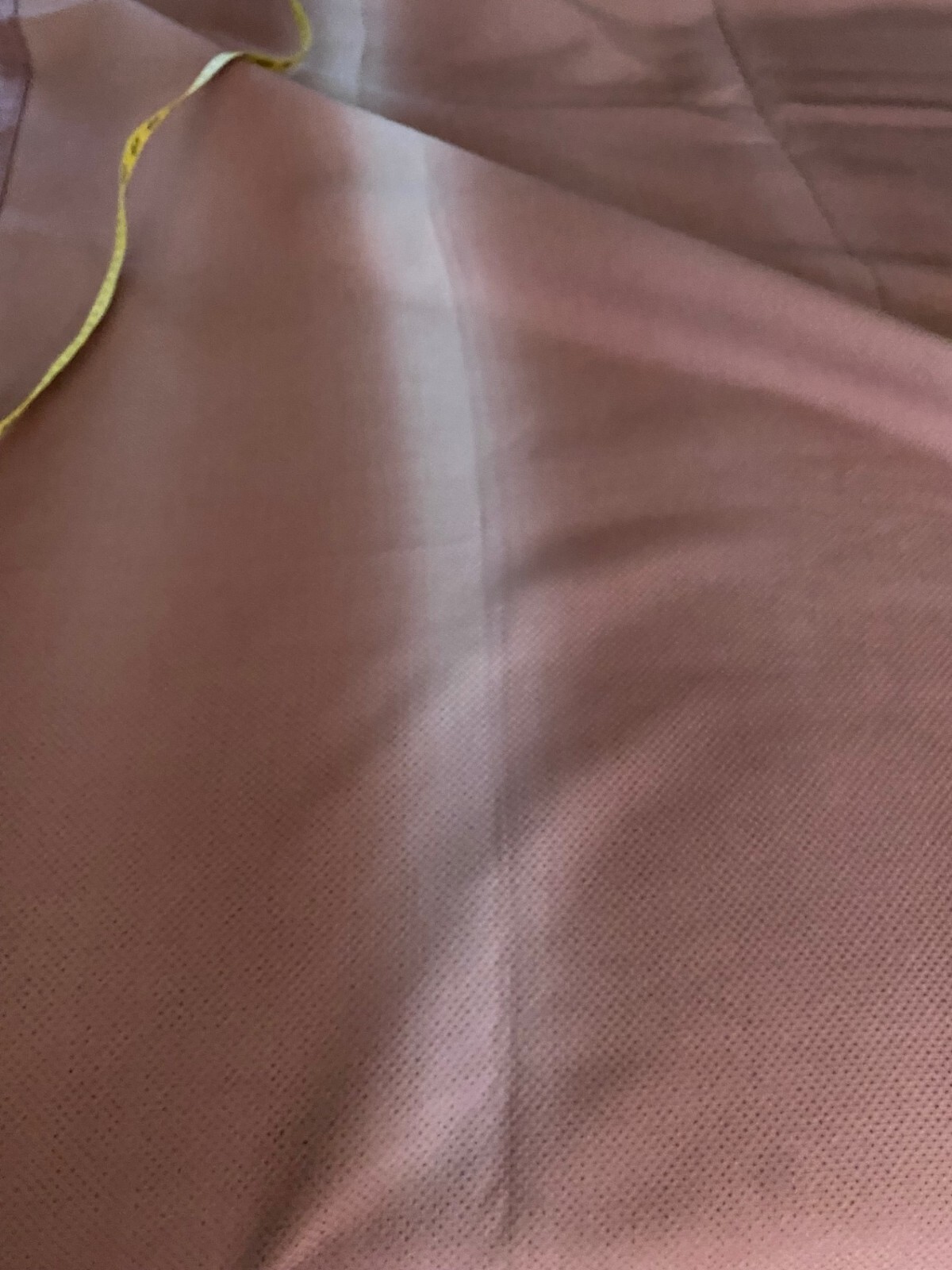 Bed Bath & Beyond 2 panels with grommets rust color