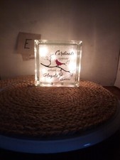 Lighted Glass Block Cardinals Appear 6x6" White Lights