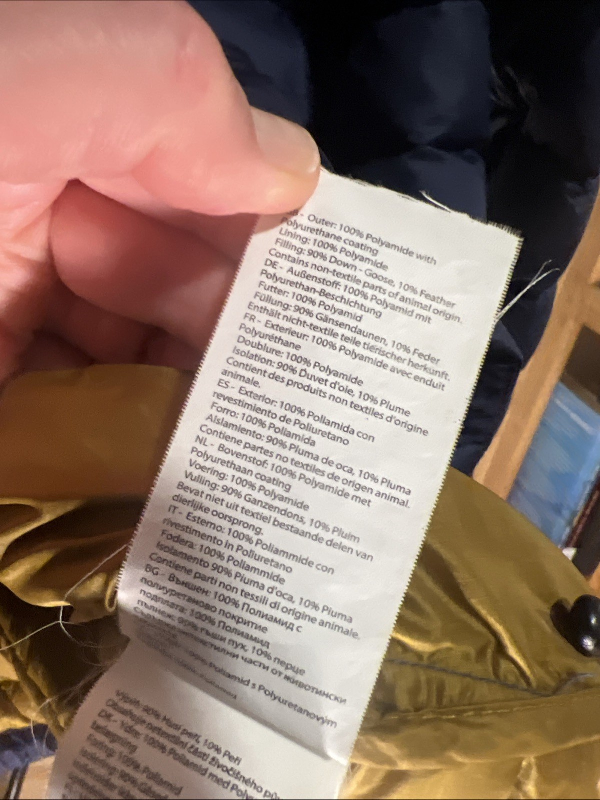 Ran Microlight Alpine Hooded Down Jacket - image 11