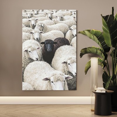 Das schwarze Schaf, Anders Tier Kunst Wandbild, Acrylglas, Leinwand oder Poster
