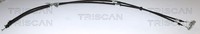 Triscan Seilzug, Feststellbremse 8140 241156