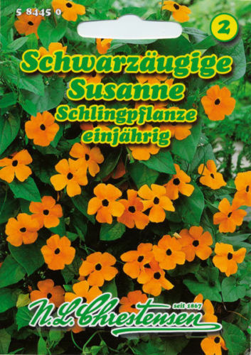 N.L. Chrestensen Black-Eyed Susanne "Orange with Eye" Seeds, Climbing Plant - Picture 1 of 1