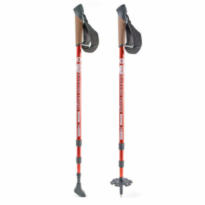 ebay walking poles
